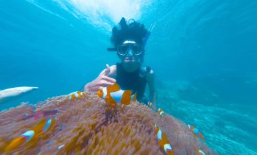 Paradise Found: Exploring the Tropical Beauty of Bali