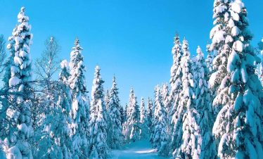 Scandinavian Splendor: Nordic Wonders in Sweden and Norway